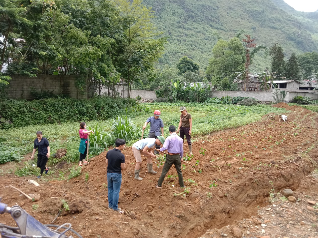 “ Ngày thứ 7 với chủ đề “ Cải tạo vườn tạp tại thôn Pả Vi Thượng”